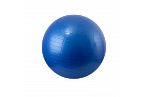 Мяч гимнастический 55см с насосом BD30/55TR 10116