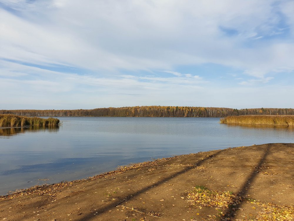 Теплые водохранилища. Десногорское водохранилище площадь. Десногорское водохранилище осенью. Десногорское водохранилище осень 2021. Ясногорск теплое водохранилище.